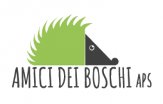 bannerpartner generazionecibo 1