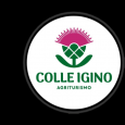 Colle Igino