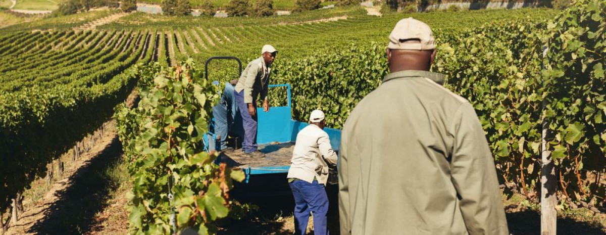 Lavoratori agricoli