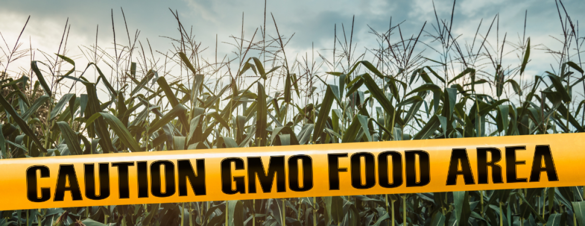 Documento firmato da 16 associazioni contro l'abolizione della tracciabilità dei nuovi OGM