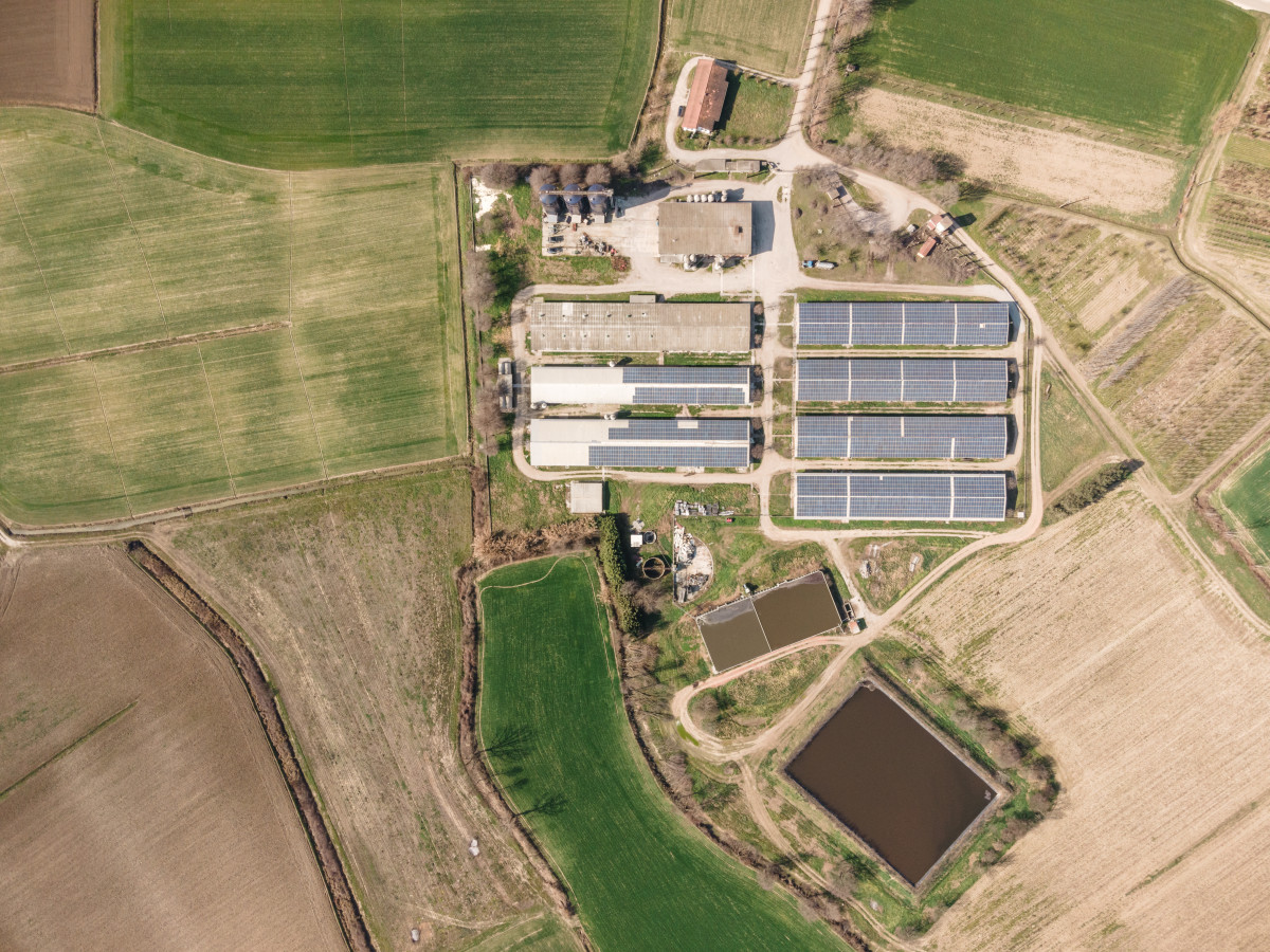 Allevamento intensivo a Brescia