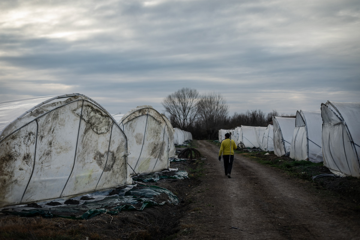 Lavoratore agricolo in un campo