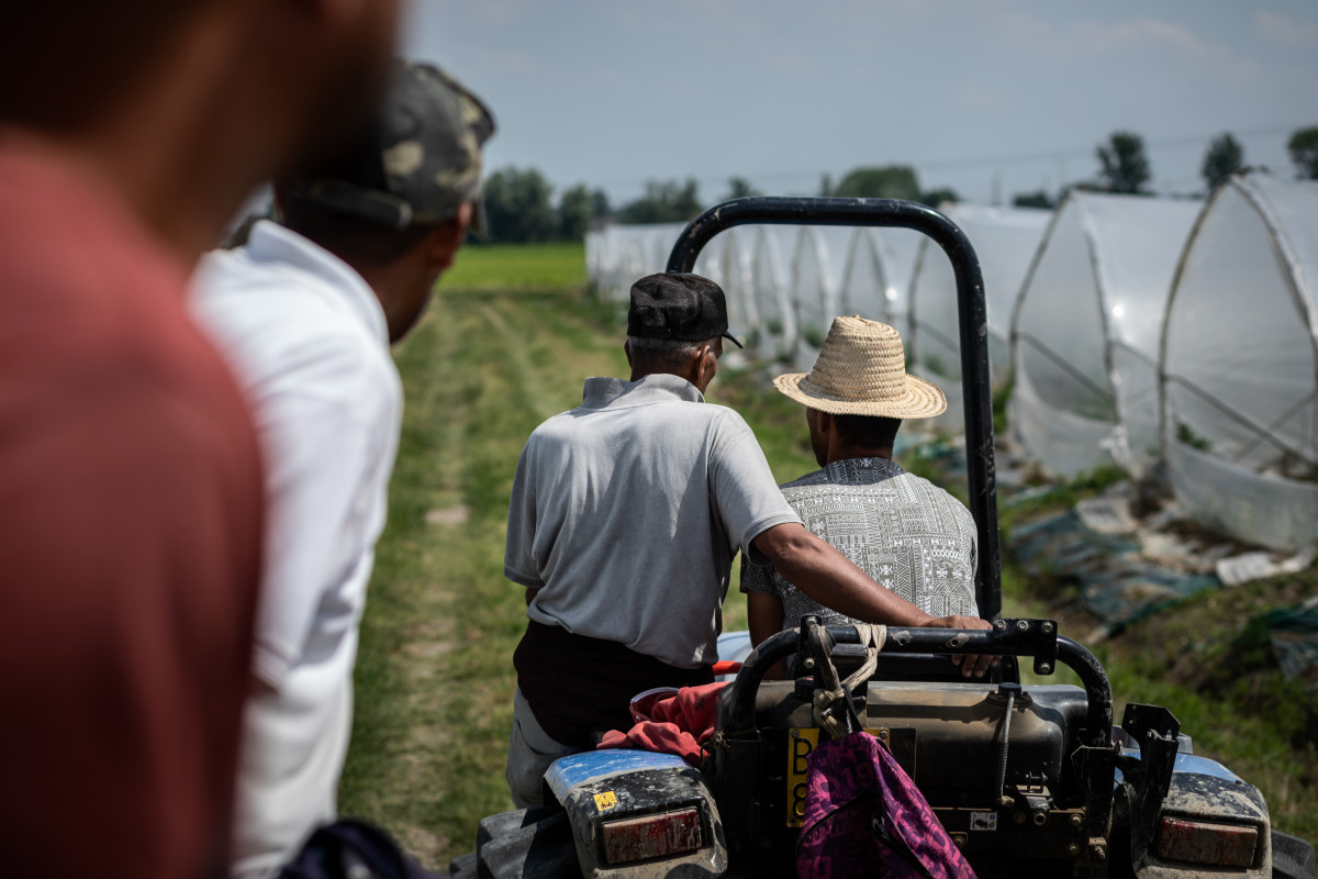 Lavoratori in agricoltura - foto di Terra!