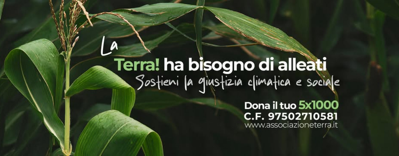{alt}