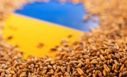 Domande e risposte sulla crisi del grano