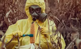 OGM: a un passo dalla coltivazione in Italia. Non passeranno!