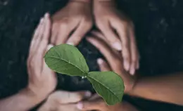 Per una PAC amica dell'ambiente e dell'agricoltura:<br>23 associazioni scrivono a Lollobrigida