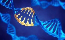 No a nuove regole per nuovi OGM. L'Italia li vieti senza appello.