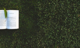 Primavera rumorosa! Tre brevi lezioni per farci sentire.