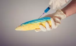 Nuovi OGM: enormi passi indietro dall'Italia e dall'Ue