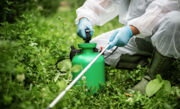 PESTICIDI IN EUROPA: UNA SEMPLIFICAZIONE AVVELENATA