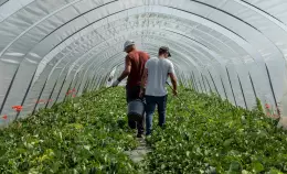 Dai campi ai supermercati: come si riproduce il modello del caporalato nel Sud e nel Nord Italia