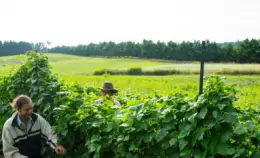 Il bando sulle terre pubbliche a Roma 10 anni dopo