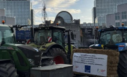 I trattori tornano in piazza: perché protestano gli agricoltori