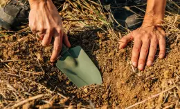 UE: passa il regolamento sul ripristino della natura. Al ribasso e con il no dell'Italia