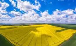 Chiuso il Piano della PAC nella sua versione peggiore