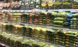 La IV gamma è insostenibile. Terra! risponde agli attacchi