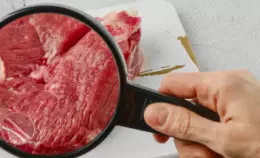 Grilli e carne coltivata:  perché le battaglie di Lollobrigida non sono neutre