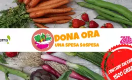 Solidarietà contro il Covid: la Spesa Sospesa di Terra! e Zolle