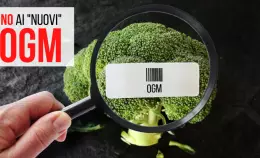 La Ministra Bellanova e alcuni parlamentari tentano di introdurre i nuovi OGM in Italia