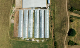 Comunicato stampa: Il nuovo report Allevamenti intensivi in Lombardia, Anatomia di un eccesso