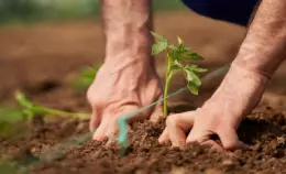 Caporalato, prima vittoria. <br> Ma ora serve una legge sulla filiera trasparente