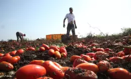 Lavoro grigio: il prezzo occulto del cibo a basso costo