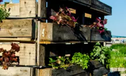 Come mangeremo nel 2050?