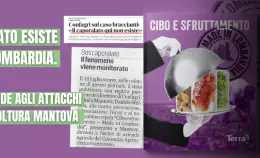 Caporalato in Lombardia: Terra! risponde agli attacchi di Confagricoltura Mantova