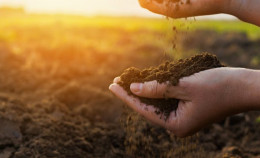 Con i piedi per Terra!: Promuovere la transizione ecologica dei sistemi alimentari per combattere la