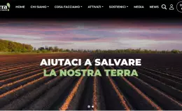 Il nuovo sito di Terra! vince il premio Mediastar