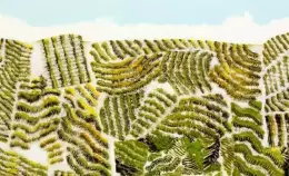 Vittoria! Approvata la delibera che istituisce una food policy per Roma