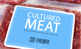 In Italia il divieto sulla carne coltivata diventa legge