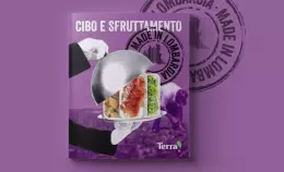 Il nostro report Cibo e sfruttamento. Made in Lombardia arriva in audizione in Regione Lombardia