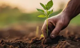 Revisione PAC: il nuovo affondo alle politiche green in agricoltura