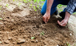Terra! e Slow Food in azione per un'altra idea di mondo