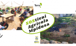 Vandalizzati i nostri orti a Lampedusa: aiutaci a ricostruire!