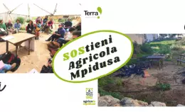 Vandalizzati i nostri orti a Lampedusa: aiutaci a ricostruire!