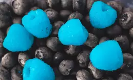 Consiglio Ue: stallo sulla deregolamentazione dei nuovi OGM