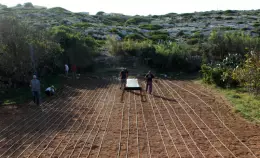 Agricola Mpidusa collabora con Life Desert-Adapt per la biodiversità e la lotta al cambiamento clim