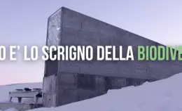 Terra! parte per le isole Svalbard per raccontare la biodiversità