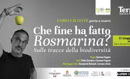 Le parole del cibo : </br> Fabio Ciconte porta a teatro Che fine ha fatto Rosmarina