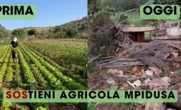 Nubifragio su Agricola Mpidusa </br> I cambiamenti climatici arrivano a casa nostra