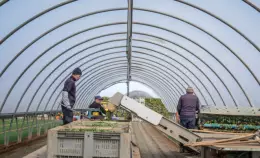 Regolarizzazione: i conti non tornano (ancora)