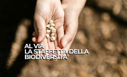 Al via la staffetta della biodiversità: il futuro dell'agricoltura riparta dai semi