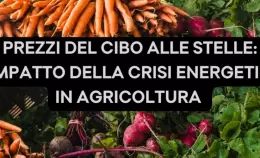 Crisi energetica e agricoltura: chi pagherà il caro prezzi