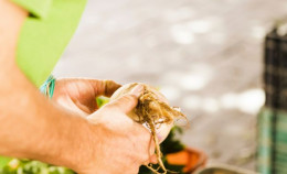 Le aziende agricole contro gli sprechi e le perdite alimentari insieme a GenerAzione Cibo