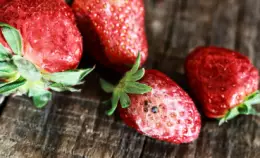 Parlamento Ue: Sui nuovi OGM via libera alla deregolamentazione