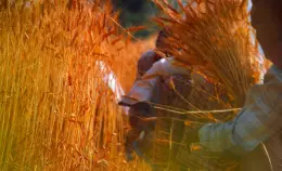 Satnam Singh: condotta disumana di Lovato. Sabato 6 luglio ci vediamo a Latina!