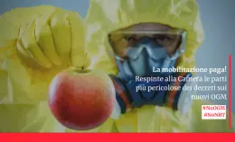 La pressione paga! Sventato l'attacco del MIPAAF sui nuovi OGM